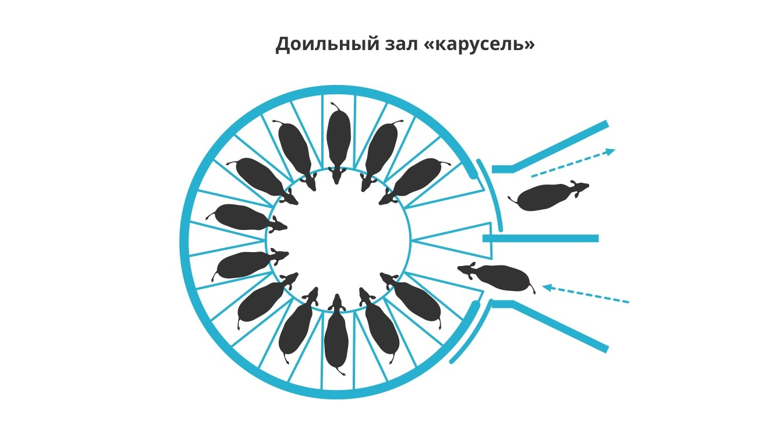 Снимок экрана 2025-12-11 095203.png Снимок экрана 2025-12-11 095203.png