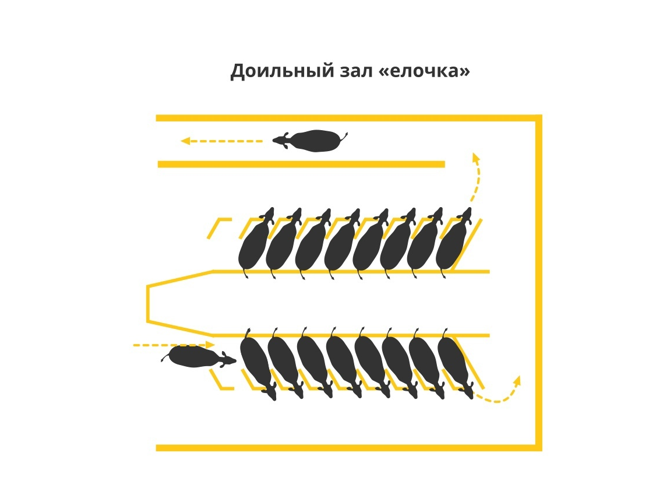 Снимок экрана 2025-12-11 094610.png